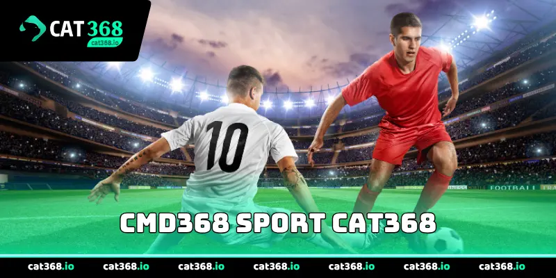Cmd368 Sport Cat368