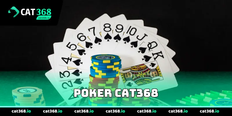 Poker Cat368